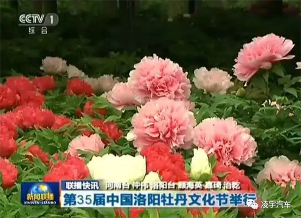 梦之城(中国游) - 官方网站