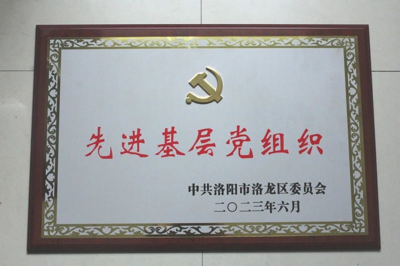 中集梦之城公司党委召开庆祝建党102周年大会