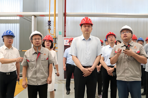 向导现场观摩中集梦之城