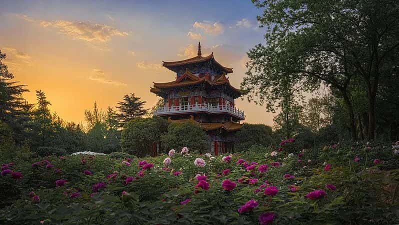 梦之城(中国游) - 官方网站