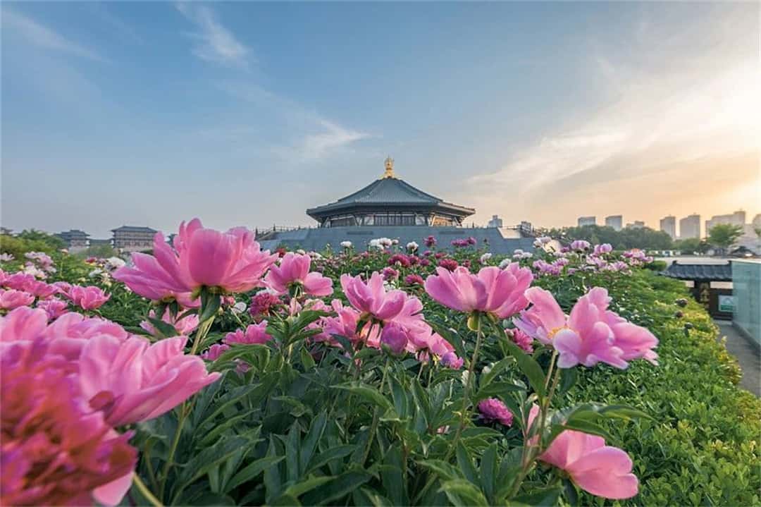 梦之城(中国游) - 官方网站